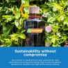 Nalgene Sustain - Botella de agua | Reciclada, 32 fl oz y boca ancha
