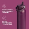 STANLEY - Botella de agua | Pajilla abatible, excelente para viajes y deportes y liviana
