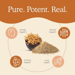 Real Mushrooms Cordyceps orgánico en cápsulas, energía y rendimiento con beta-glucanos, vegano y sin OGM, 300 cápsulas.