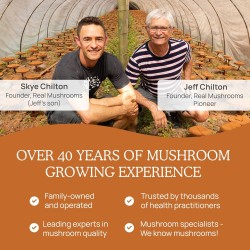 Real Mushrooms Cordyceps orgánico en cápsulas, energía y rendimiento con beta-glucanos, vegano y sin OGM, 300 cápsulas.