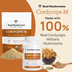 Real Mushrooms Cordyceps orgánico en cápsulas, energía y rendimiento con beta-glucanos, vegano y sin OGM, 300 cápsulas.