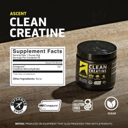 Ascent Polvo de monohidrato de creatina limpia | Creatina pura y sin sabor