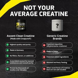 Ascent Polvo de monohidrato de creatina limpia | Creatina pura y sin sabor