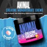Animal - Tabletas masticables de creatina | Masticables con sabor a jugo de frutas