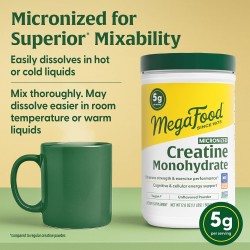 Creatina micronizada sin sabor, antes o después del entrenamiento. Soporte físico y mental. Certificada por NSF.