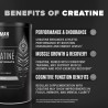 Creatina micronizada BIRDMAN: vegana, sin azúcar, sin gluten ni cafeína. 200 porciones para fuerza y recuperación muscular.