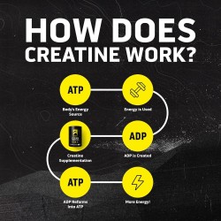 Ascent Creatina Creapure: sin sabor, limpia y pura. 100 porciones de 0.18 oz para fuerza y rendimiento muscular.