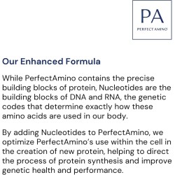 BodyHealth PerfectAmino: BCAA + EAA para músculo magro y recuperación. Pre/post entrenamiento. Sabor fresa. 30 porciones.