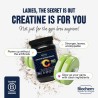 Biochem Fuerza muscular y apoyo de resistencia Monohidrato de creatina micronizada en polvo Fórmula limpia y vegana 100 porcione