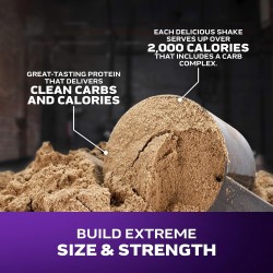 Muscletech Mass Tech Extreme 2000 Mass Gainer | Aumento de musculo y de recuperacion