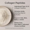 Péptidos de colágeno Sports Research unisex sin sabor, 16 oz., suplemento proteico de colágeno hidrolizado tipo 1 y 3 para piel,