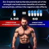 eFlow - Cápsulas de creatina | constructor muscular, resistencia y fuerza