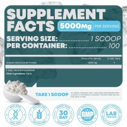Performance - Suplemento en polvo | Sin sabor y sin gluten