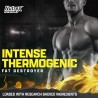 Nutrex Research Lipo6 Black Intense Ultra Concentrate, quemador de grasa abdominal termogénico para hombres y mujeres