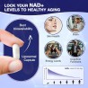 Suplemento NAD - Nicotinamida Riboside Resveratrol