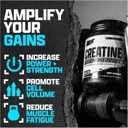 Nutrex Research Monohidrato de creatina micronizada en polvo