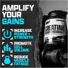 Nutrex Research Monohidrato de creatina micronizada en polvo