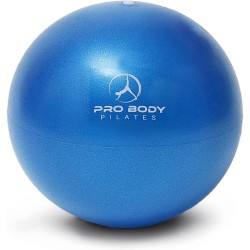 Mini pelota de ejercicio – pequeña pelota de ejercicio de 22.86 cm para estabilidad