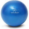 Mini pelota de ejercicio – pequeña pelota de ejercicio de 22.86 cm para estabilidad Mini pelota de ejercicio – pequeña pelota de ejercicio de 22.86 cm para estabilidad