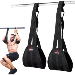 DMoose Hanging Ab Straps for Pull Up Bar & Abdominal Muscle Building, Rip Resistant and Padded Arm Support for Ab Workout, Ab