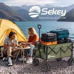 Carro plegable con ruedas grandes todoterreno para playa