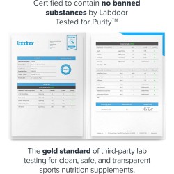 LEGION Pulse - Bebida preentrenamiento | Sabor a frambuesa azul