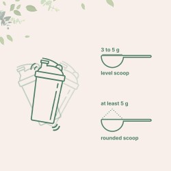 Monohidrato de creatina instantánea en polvo | Sin sabor y saludable