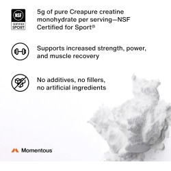Monohidrato de creatina en polvo marca Momentous